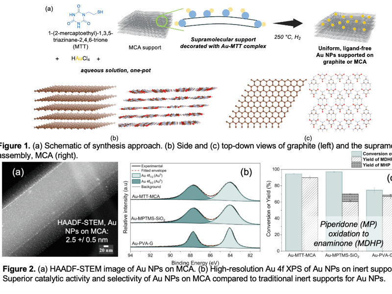 Designing uniform, ligand-free nanoparticle catalysts on a supramolecular support via molecular recognition  