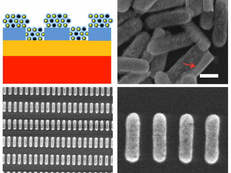 Fabrication of hybrid nanorods. Low- (lower left) and high- (lower right) resolution SEM images, of hybrid nanorod arrays before release. Upper right, SEM image of released hybrid nanorods. Red arrows highlight nanorods sitting on the substrate on their sides.