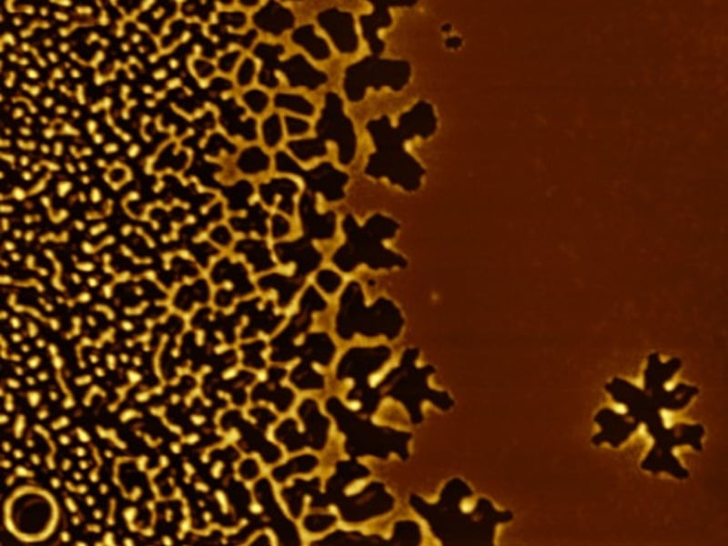 Dewetting pattern of an organic glass thin film with a gradient of thickness. Thickness increases from left to right, resulting in a dramatically slower dewetting rate when the film is held at Tg-12 K.