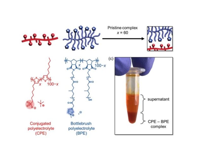 a, b) Coacervation of a conjugated polyelectrolyte (CPE, red) and bottlebrush polyelectrolyte (BPE, blue), each with 60% charge fraction (x = 60), leads to an ionically crosslinked polymer complex. (c) Photograph of phase separation upon mixing CPE and BPE solutions, producing a concentrated coacervate (darker orange, bottom) in coexistence with polymer-deficient supernatant (lighter orange, top).