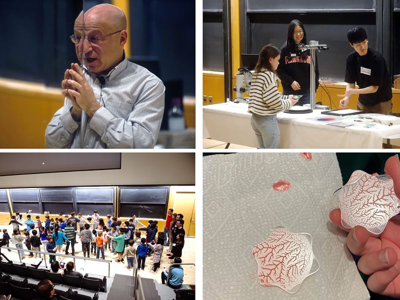 Princeton faculty and students demonstrate the science of patterns to a young audience.
