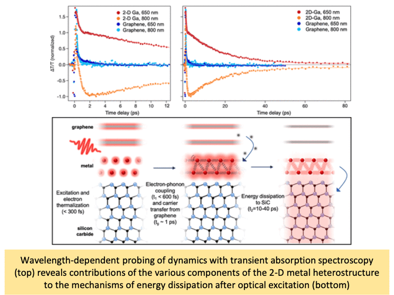 Atomic-Level Structure Determines Electron–Phonon Scattering Rates in 2-D Polar Metal Heterostructures