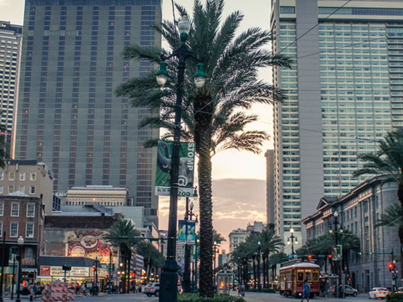 Credit: Paul Frederickson/flickr