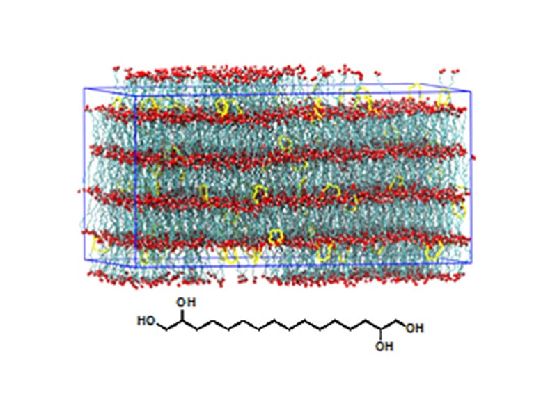 Image source: M. K. Mahanthappa, M. A. Hillmyer, T. M. Reineke, T. P. Lodge and J. I. Siepmann