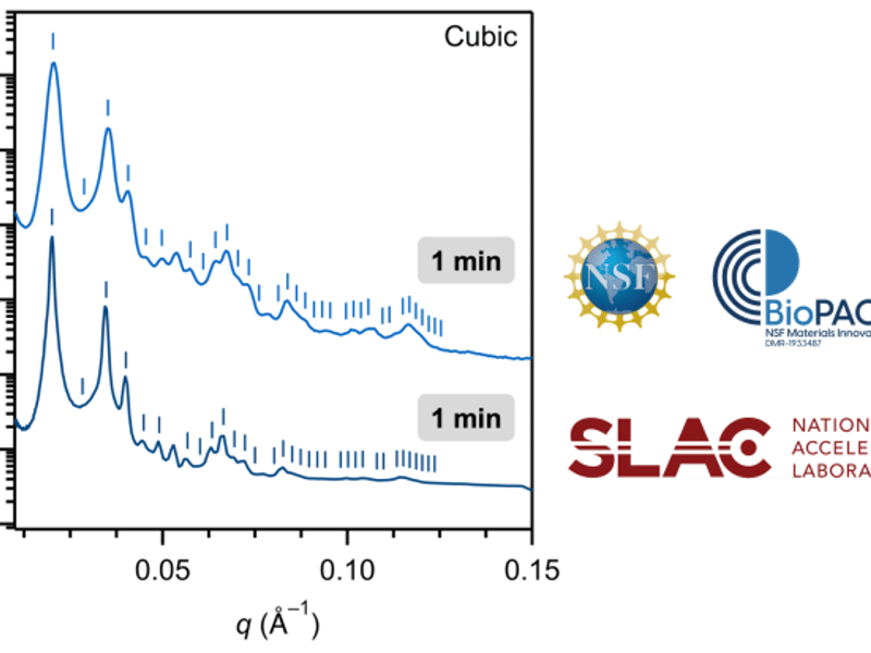 Comparison of SAXS data between BioPACIFIC MIP and SLAC