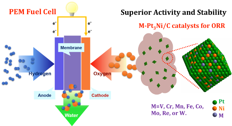 Development of highly active and ultra-stable catalysts for oxygen reduction reactions (ORR) which is the critical rate and cost limiting reaction in fuel cells by changing the composition of Pt3Ni octahedra surface layers.