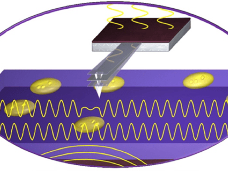 Schematic illustration of the Ultrasound Bioprobe. Customized piezo-transducers underneath the sample and the cantilever provide the flexural vibrations. The atomic force microscope mechanical probe detects the subsurface mechanical contrast.