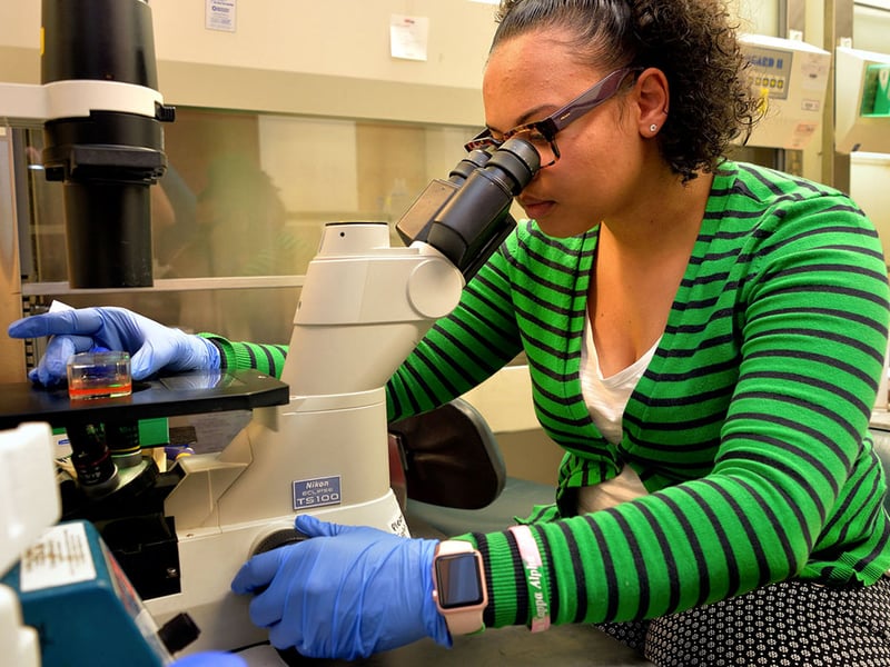 A Philadelphia school district high school teacher supported by the RET program in 2017 (Alexis Rylander Bennett, of Boys' Latin of Philadelphia Charter School) is now a full time researcher working with the Janmey lab for the summer and will continue when the school year starts again in Philadelphia. Image source: © Felice Macera