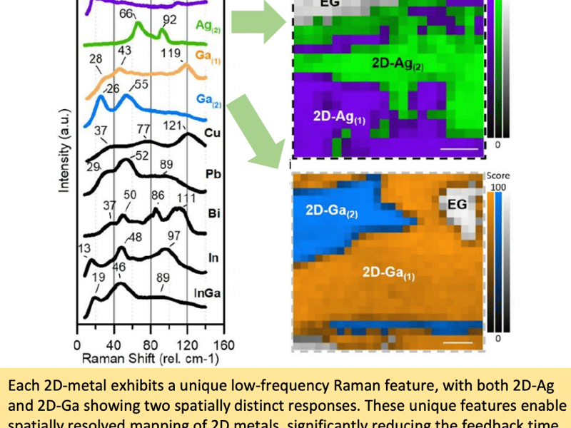 Fingerprinting 2-Dimensional Polar Metals 
