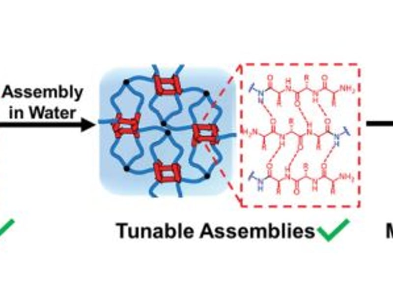 Modular design of 3-arm block copolypeptide enables tunable microstructure and properties based on amino acid selection.