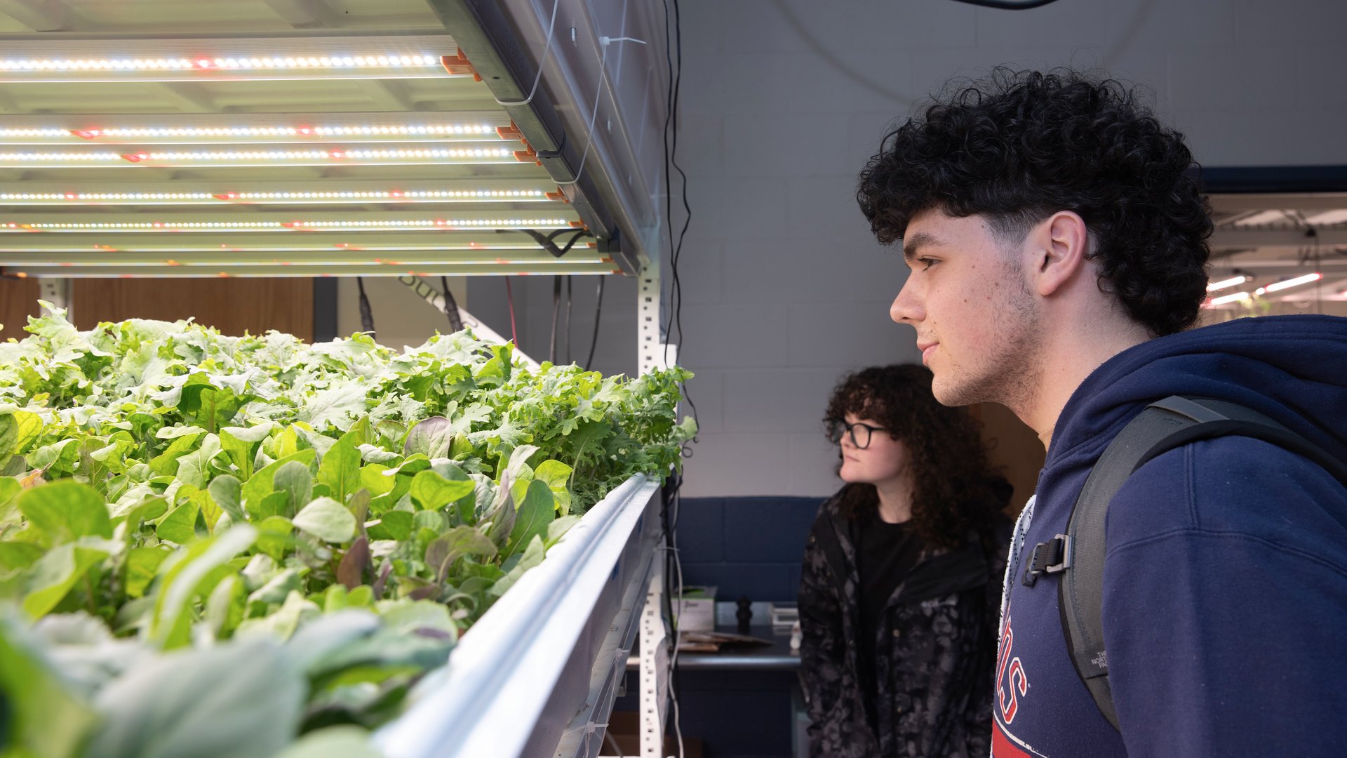 Students examine microgreens growing under LED lights in TCNJ’s Indoor Ag Lab in Armstrong Hall, a year-round hydroponics facility built with local partner GeoGreens. The space supports research on indoor agriculture while producing fresh food for the campus pantry and the surrounding community. Photo credit: Anthony DePrimo