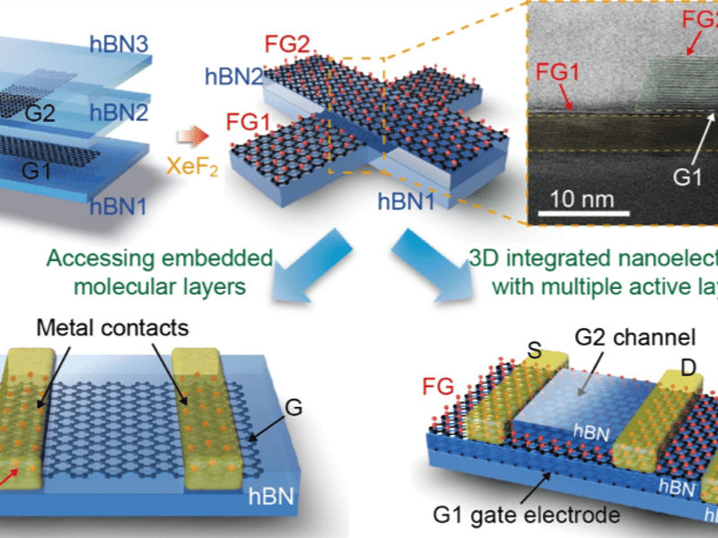 (top) Schematic of the selective etching process and false-color cross-sectional STEM image of a 2D heterostructure showing atomic precision of the etched structure. (bottom) Demonstrated applications using this technique: Accessing buried electronic layers within a heterostructure to form low contact resistance and high mobility devices and a 3D integrated device with multiple active layers.