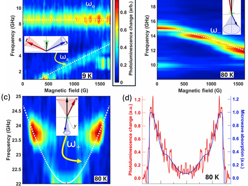 Quantum Sensing of Broadband Spin Dynamics and Magnon Transport in Antiferromagnets