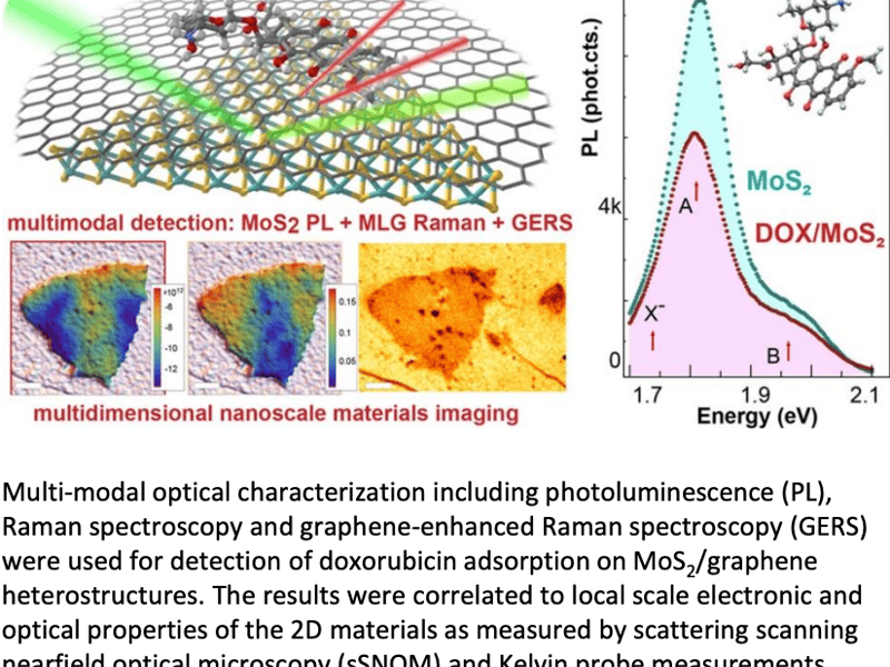 Multidimensional imaging reveals mechanisms controlling multimodal label-free biosensing in vertical 2DM heterostructures
