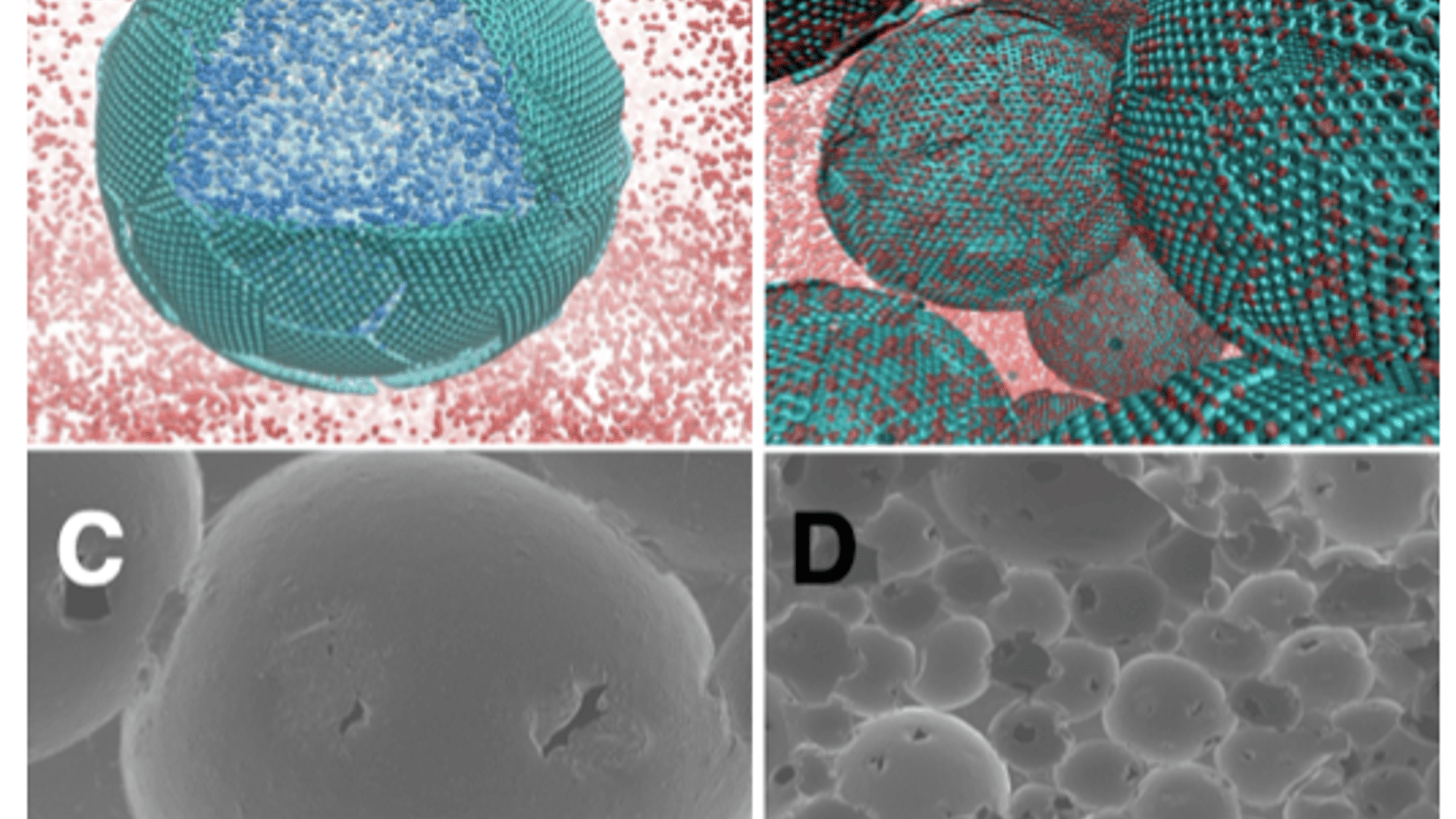Controlled 3D Assembly of Graphene Sheets · DMREF