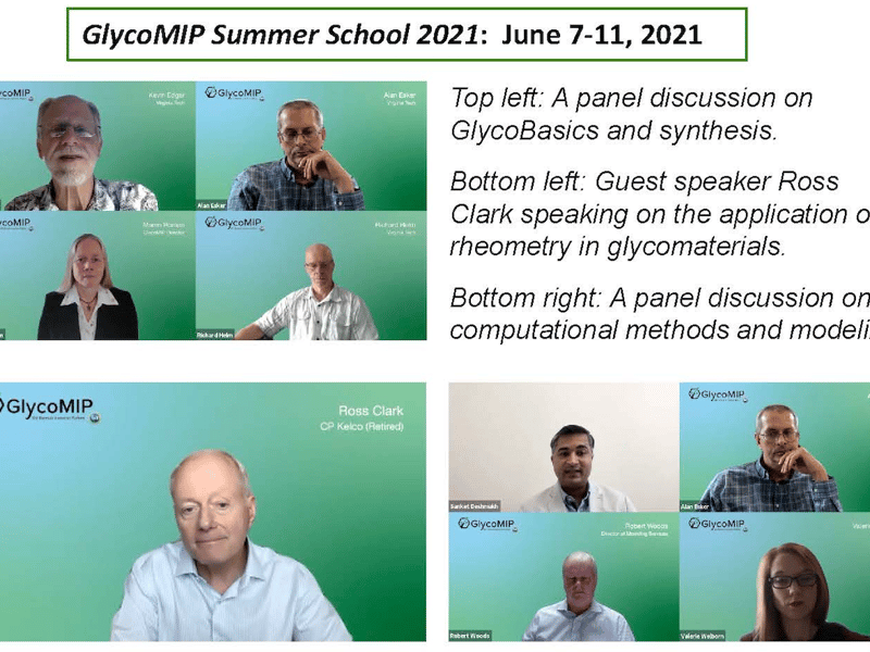 GlycoMIP inaugural Summer School reaches 200 participants