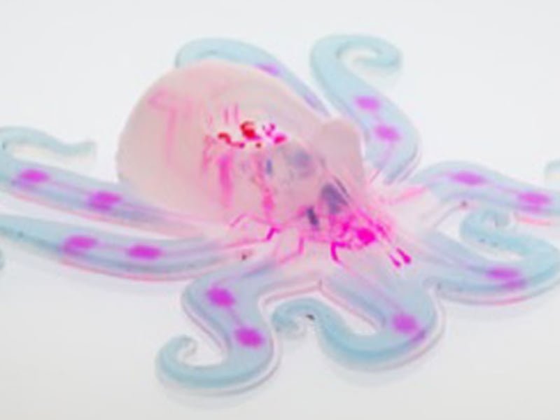 An octobot