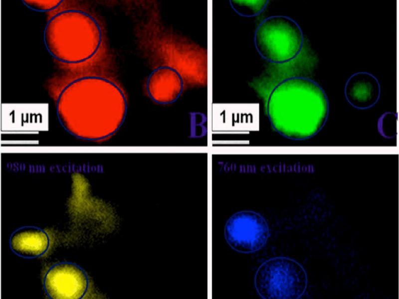 Graphene Oxide Can Pick and Image MRSA