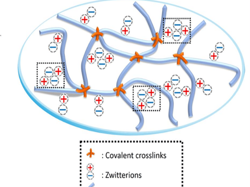 A base hydrogel, combined with collagen, allows for a mechanical response similar to natural cartilage. A small addition of collagen significantly enhances the mechanical properties.