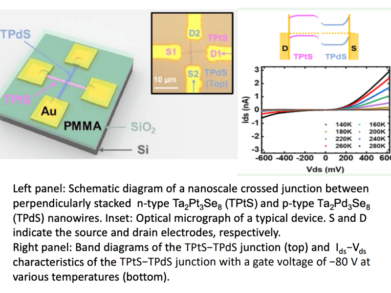 Tunneling Effects in Crossed Ta2Pt3Se8−Ta2Pd3Se8 Nanowire Junctions: Implications for Anisotropic Photodetectors