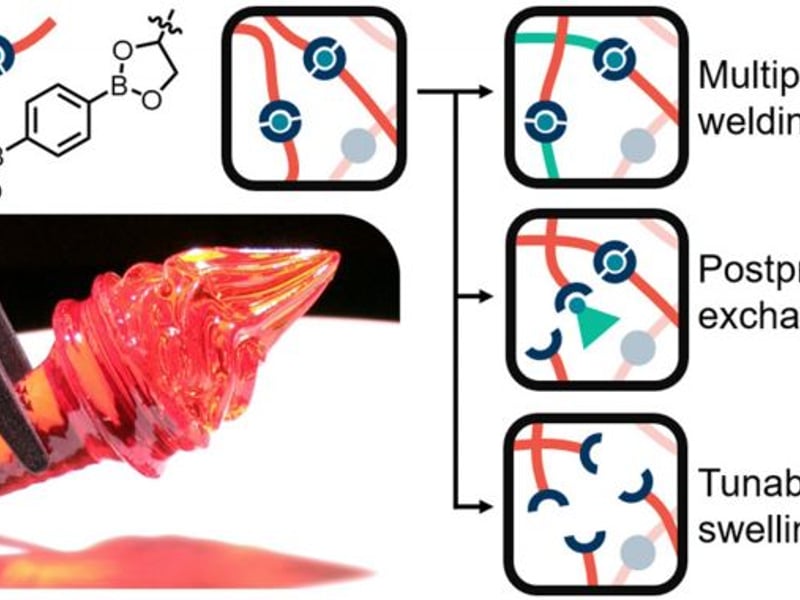 Modular 3D-Printed Polymer Networks