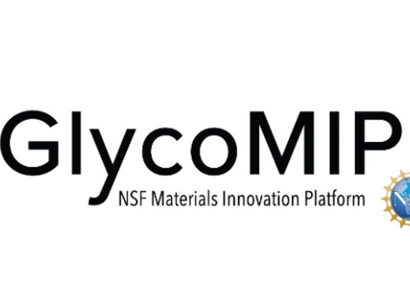 GlycoMIP Scientists On Screen February 2023