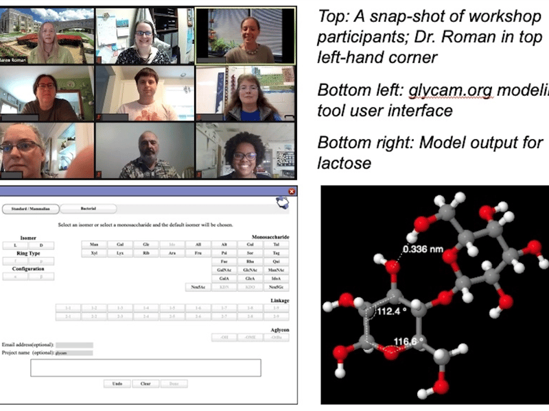 GlycoMIP introduces STEM teachers to glycan modeling tool