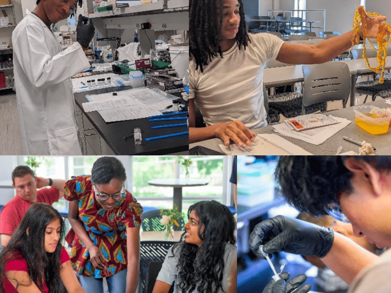 Local high school students engaged in a variety of hands-on activities and investigations to learn more about the different pathways STEM has to offer.