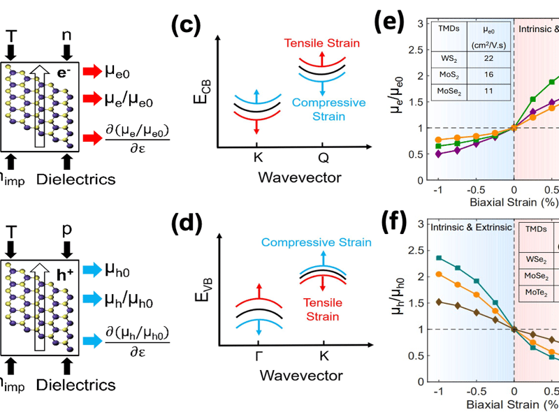 Strain-Tunable Valley Separation Boosts Carrier Mobility in 2D Materials
