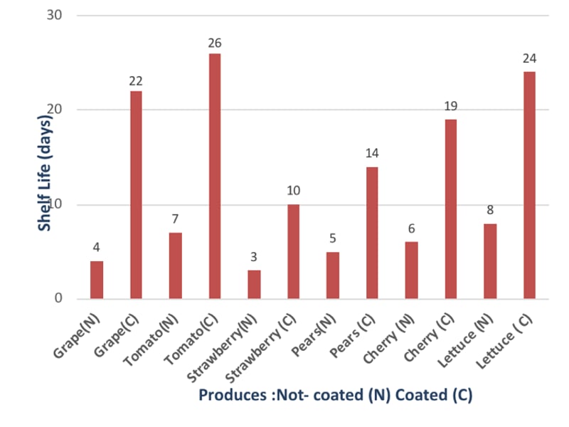 Self-assembling polymer/clay nanocomposites applied to fruit for shelf life extension