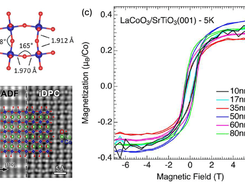 Strain Control of Structure and Emergent Magnetism in LaCoO3 Thin Films