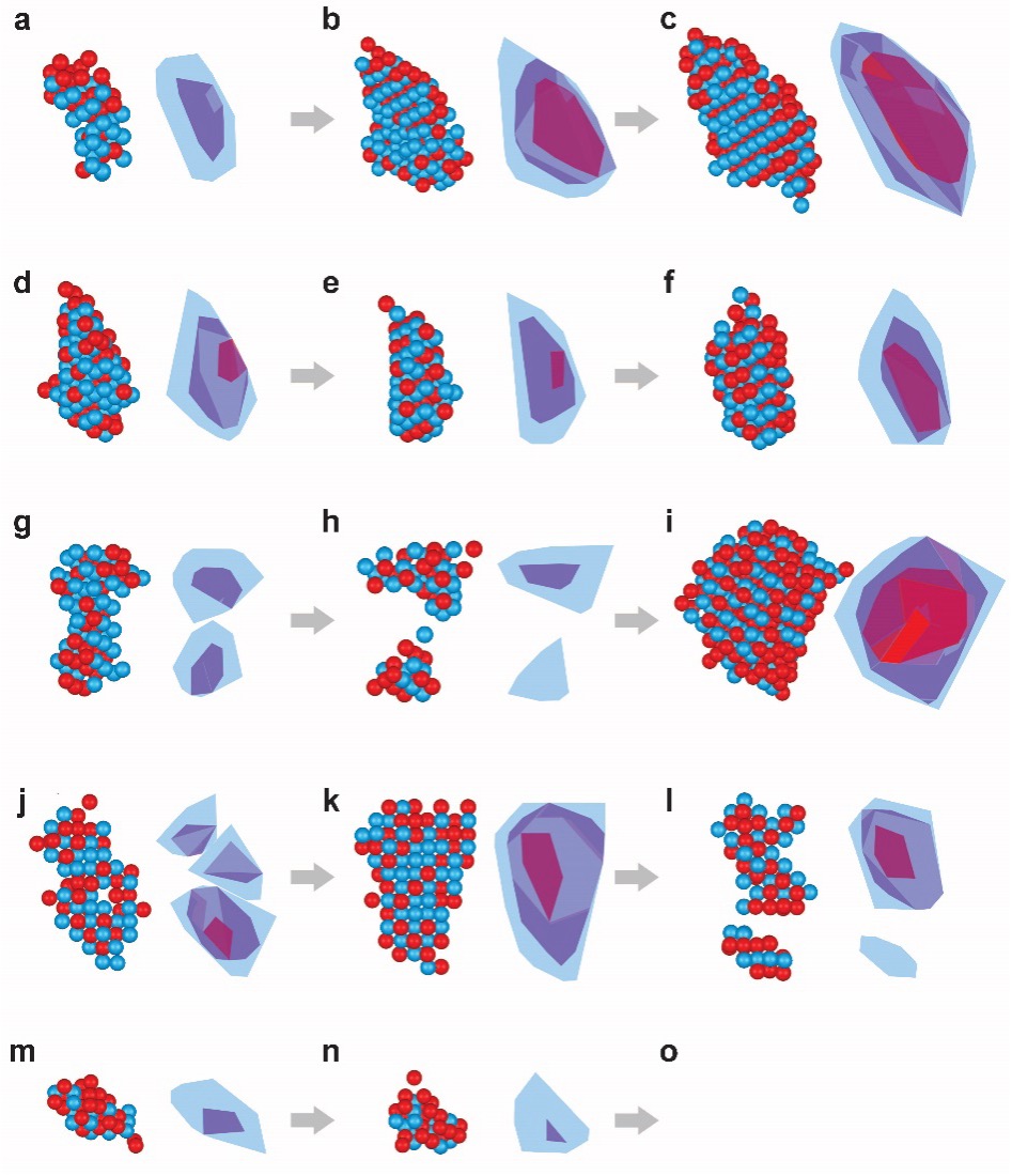 Experimental observation of the same nuclei undergoing growth, fluctuation, dissolution, merging and/or division at 4D atomic resolution.