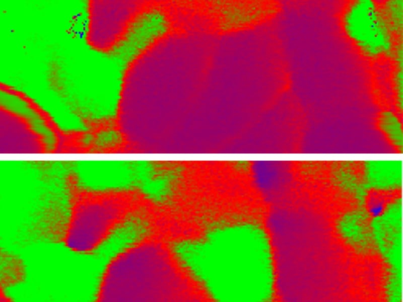 Ferroelectric polarization map of a selected region of a 30 nm thin film of croconic acid measured before (top) and after (bottom) local application of a voltage pulse.