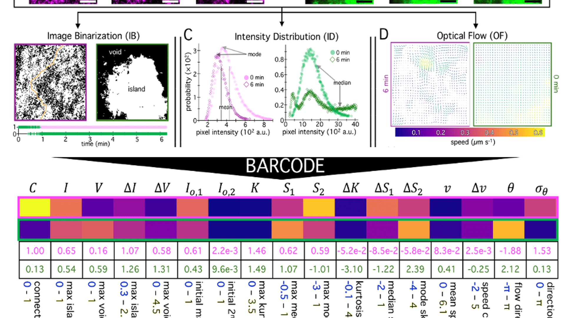 Dmref BARCODE: High Throughput Screening and Analysis of Soft Active Matter ...