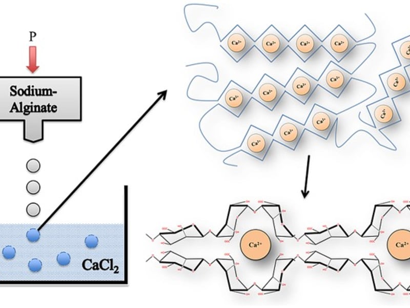 Alginate droplets gelling in calcium chloride to form beads. Image by Paredes Juarez et al., Frontiers in Bioengineering and Biotechnology 2014, CC BY.