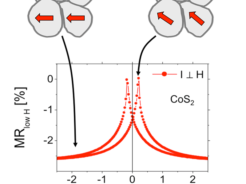 M. Manno, R. Frakie*, B. Bolon, C. Leighton,
Appl. Phys. Lett. 95 182510 (2009)
C. Utfeld, S.R. Giblin, J.W. Taylor, J.A. Duffy,
C. Shenton-Taylor, J. Laverock, S.B. Dugdale,
M. Manno, C. Leighton, M. Itou, Y. Sakurai,
Phys. Rev. Lett. 103 226403 (2009)