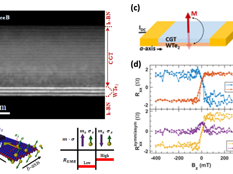 Figure 1. (a) Atomically clean WTe2/CGT interface. (b) Left: Generation of nonequilibrium spin accumulation with an out-of-plane spin polarization (𝝈_𝒛), when a charge current (𝐽) is applied along the a-axis of WTe2. Right: Concept of unconventional UMR in heterostructures, i.e., change of longitudinal resistance (𝑅_𝑈𝑀𝑅) depending on the relative orientation of out-of-plane magnetization (𝒎_𝒛) and spin polarization (𝝈_𝒛). (c) A schematic showing the measurement configuration to read the out-of-plane magnetic state of CGT employing 2-point longitudinal resistance (𝑅_𝑥𝑥). (d) UMR signal measured with +/- current. The step-like change in 2-point 𝑅_𝑥𝑥  is due to UMR switching sign when the current is reversed, with symmetric and antisymmetric components shown (lower panel).