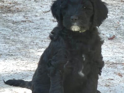 Jack