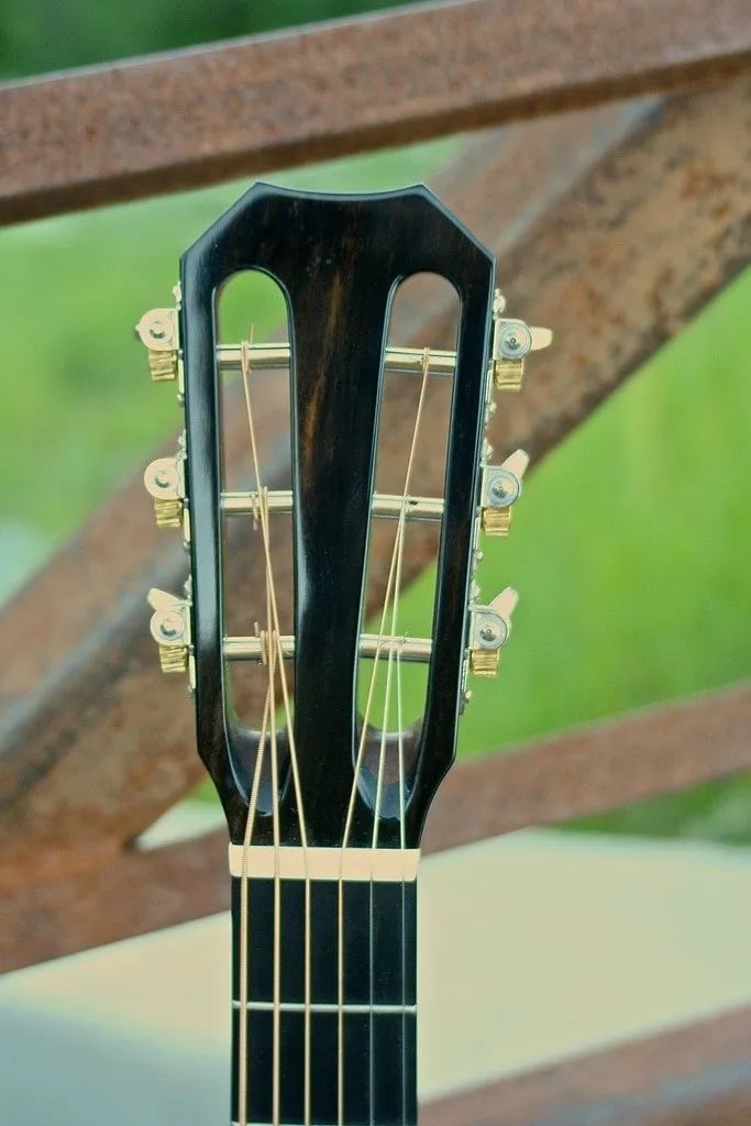 Guitar No. 008, front view