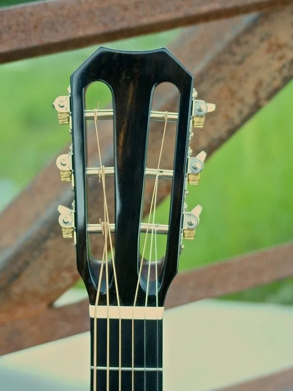 Guitar No. 008, front view