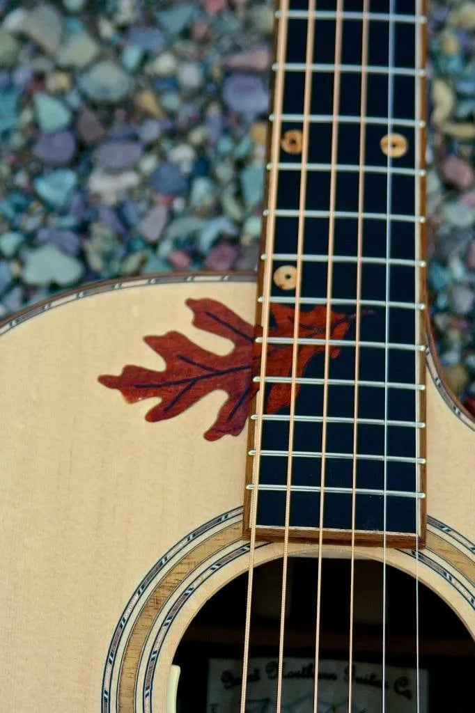 Guitar No. 011, front view