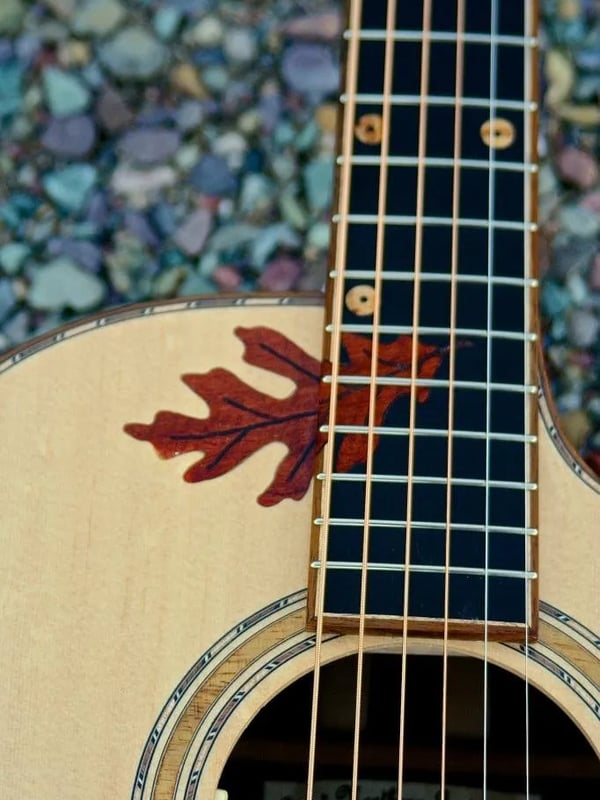 Guitar No. 011, front view