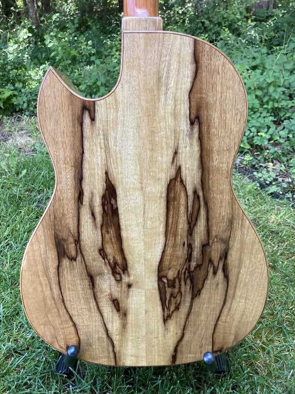 Guitar No. 026 back view