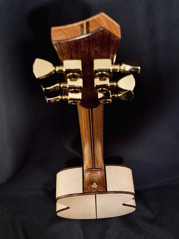 Guitar No. 029 back view