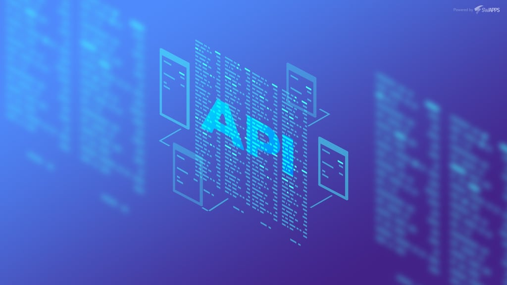 connecting-with-the-outside-world-api-best-practices