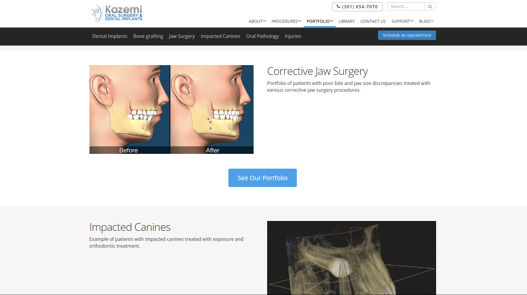 facial-art-porfolio-image