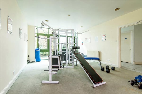 {"alt":"Gym 3","description":"Gym 3","cloudflareImageId":"d8d8bdd*-****-**d*-****-**d2c41fd300","filename":"d8d8bdd*-****-**d*-****-**d2c41fd300"}