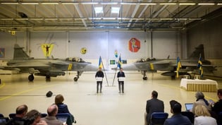 Швеция и Украина договорились о поставках Gripen