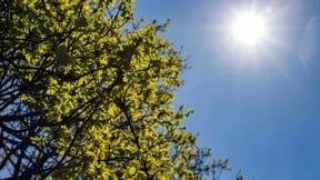 Какой будет погода в Узбекистане на выходных