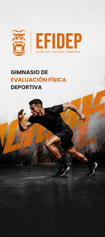 EFIDEP portada